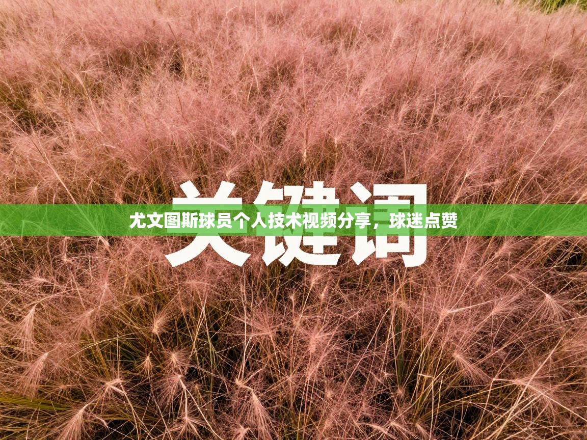 尤文图斯球员个人技术视频分享,球迷点赞 第2张